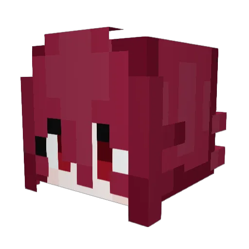 kiwwis Minecraft avatar head, 3D render