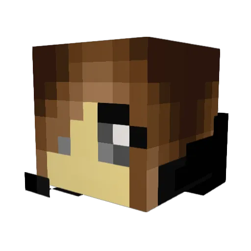 kiwy11 Minecraft avatar head, 3D render