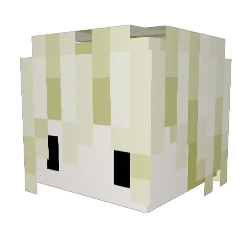 kizami_ Minecraft avatar head, 3D render
