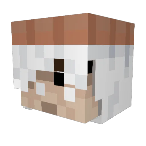 kjk1403 Minecraft avatar head, 3D render