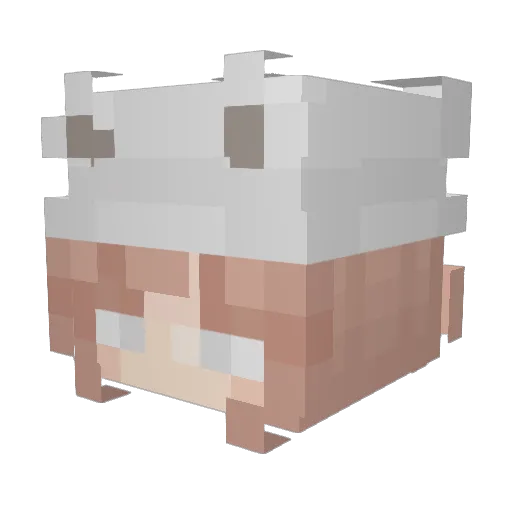 kjoh090 Minecraft avatar head, 3D render