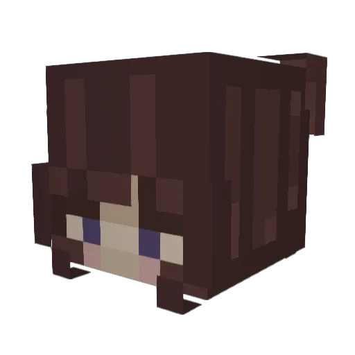 kjolpa Minecraft avatar head, 3D render