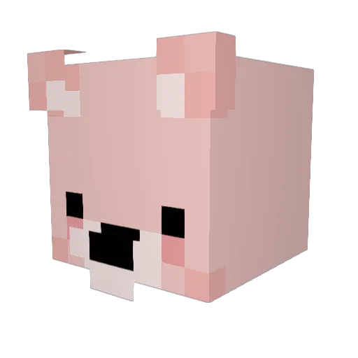 kjw1025 Minecraft avatar head, 3D render