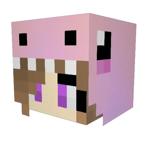 kk29xo Minecraft avatar head, 3D render
