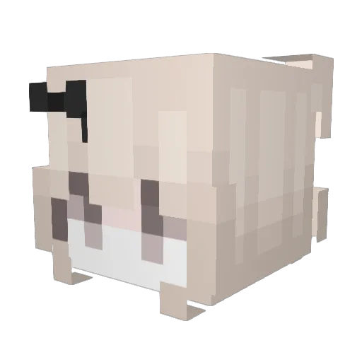 Minecraft-Avatar von kkajkaaa: Kopf als 3D-Render
