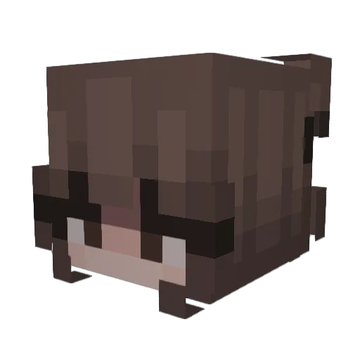 kkarlaa Minecraft avatar head, 3D render
