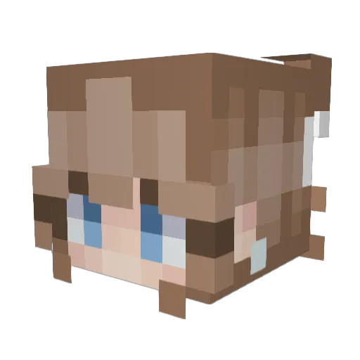 kkddwls Minecraft avatar head, 3D render