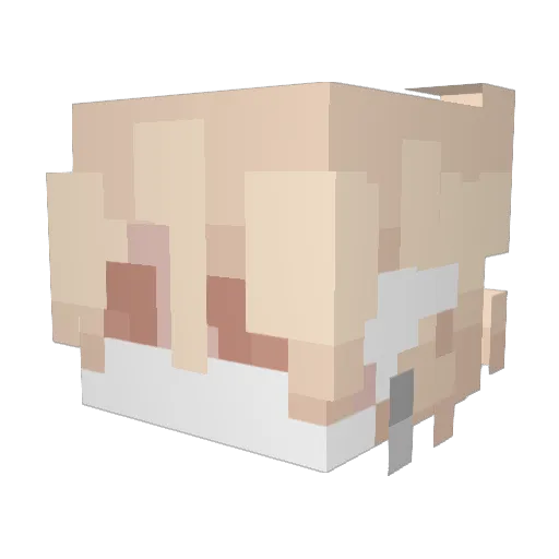 kkkamii Minecraft avatar head, 3D render