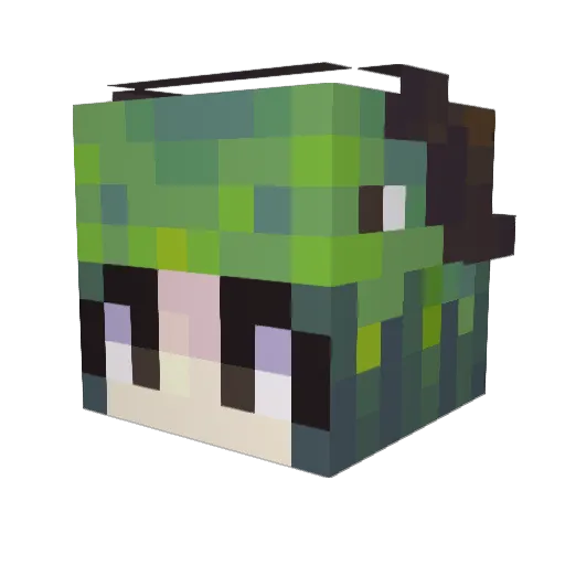 kkkk111 Minecraft avatar head, 3D render
