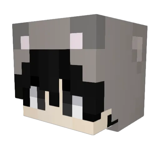 kkkkkk099 Minecraft avatar head, 3D render