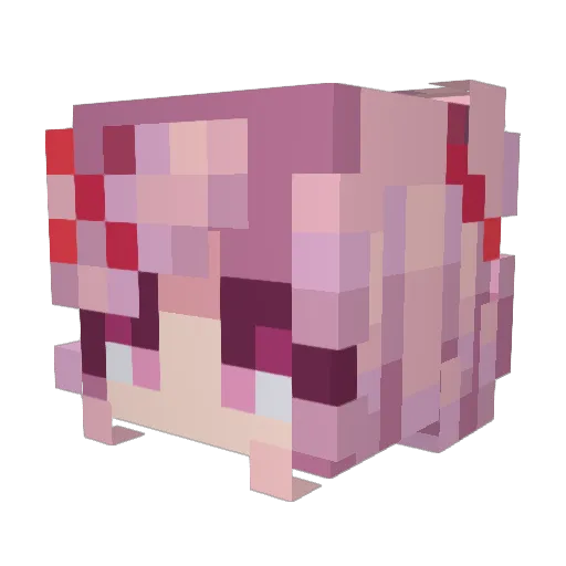 kkneesockks Minecraft avatar head, 3D render
