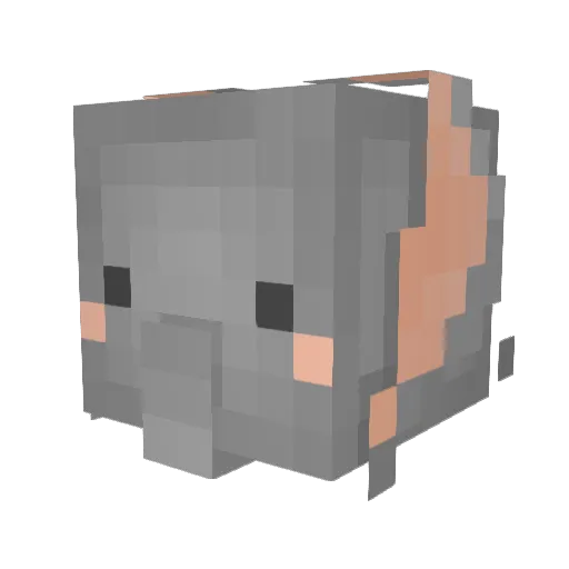 kkokkili Minecraft avatar head, 3D render