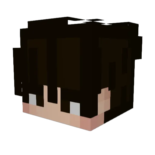 kkong1438 Minecraft avatar head, 3D render