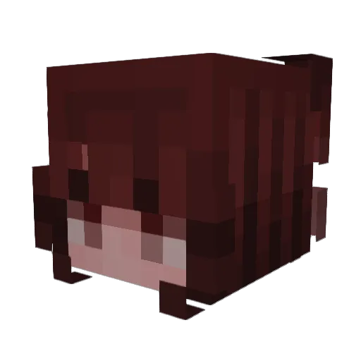 kkssmmee Minecraft avatar head, 3D render