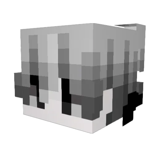 kkudo_ Minecraft avatar head, 3D render