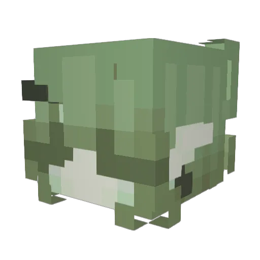 kl0rizzo Minecraft avatar head, 3D render