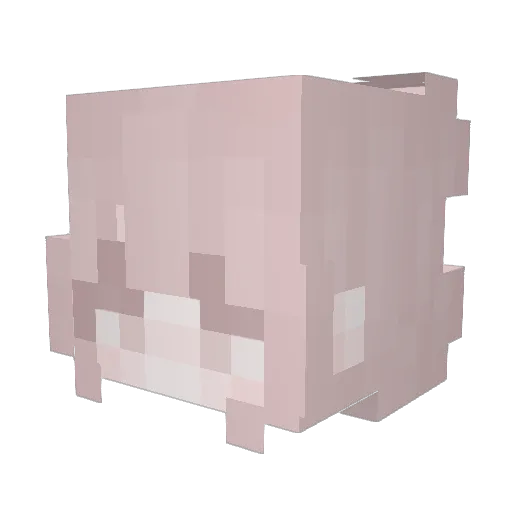 klaiberjerseyy Minecraft avatar head, 3D render