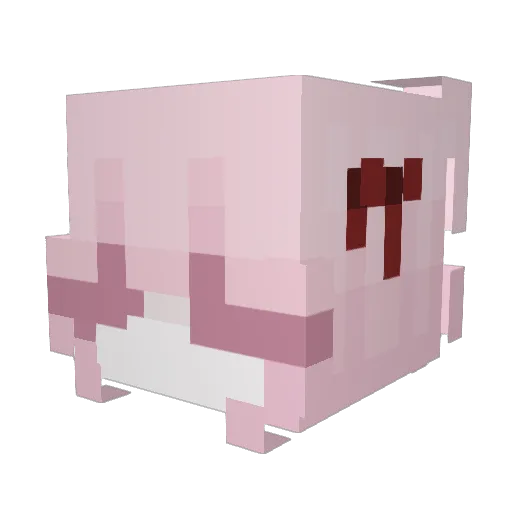 klaraeatscats Minecraft avatar head, 3D render