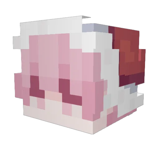 klauwu_ Minecraft avatar head, 3D render