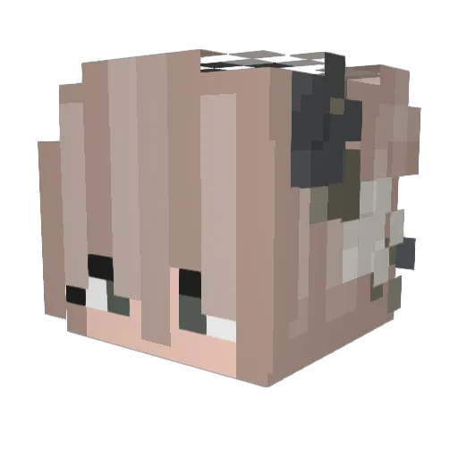kldska Minecraft avatar head, 3D render