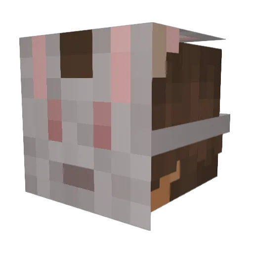 kleckeblids Minecraft avatar head, 3D render