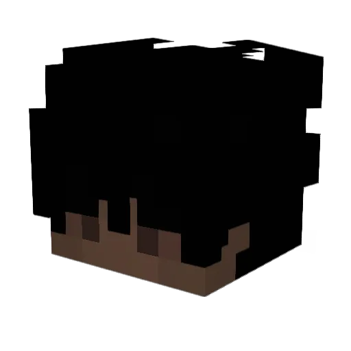 kleet2 Minecraft avatar head, 3D render