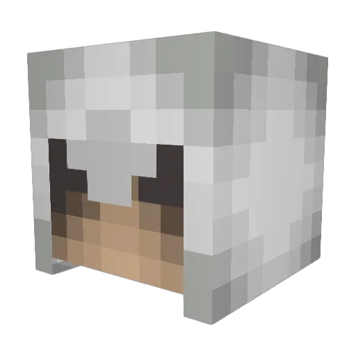 kleey0204 Minecraft avatar head, 3D render