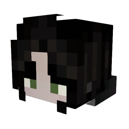 kleineDobby Minecraft avatar head, 3D render