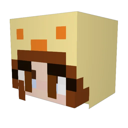 kleine_kip Minecraft avatar head, 3D render