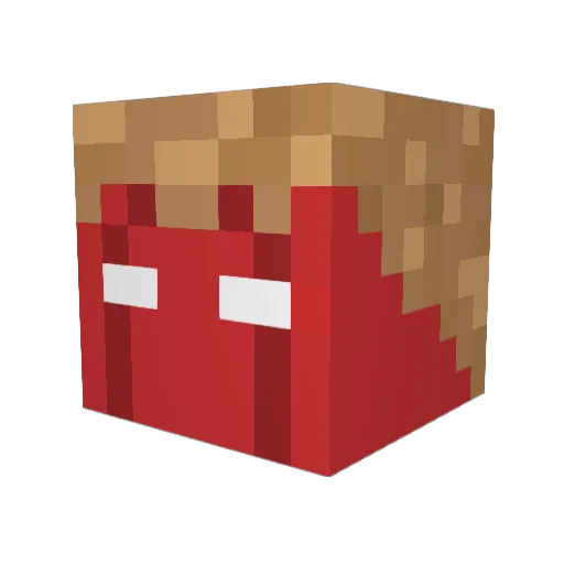 kletter Minecraft avatar head, 3D render