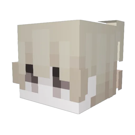 klinnm Minecraft avatar head, 3D render