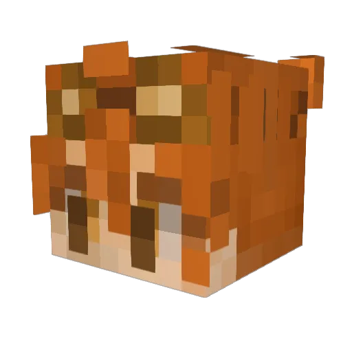 klmnop29 Minecraft avatar head, 3D render