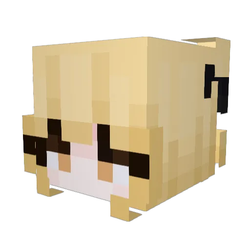 kloweechuu Minecraft avatar head, 3D render