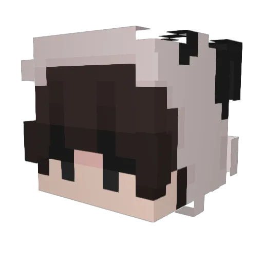 klppk5 Minecraft avatar head, 3D render