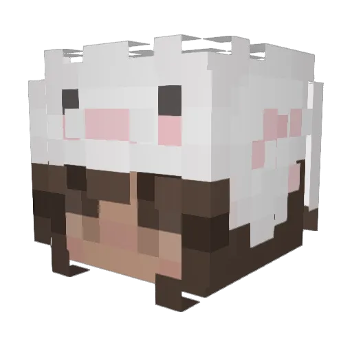 klsmet Minecraft avatar head, 3D render