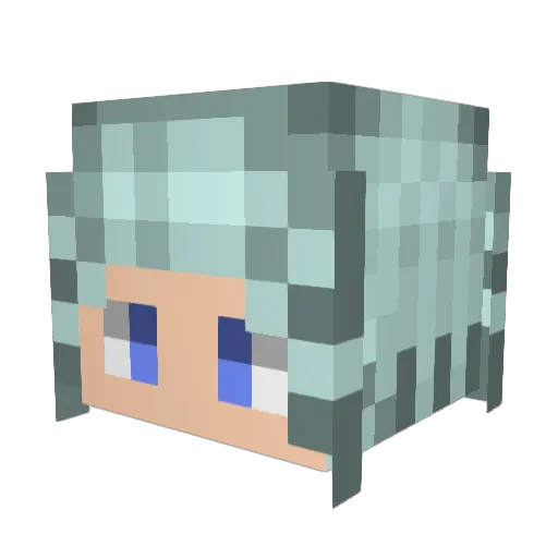 kltora_wifr Minecraft avatar head, 3D render
