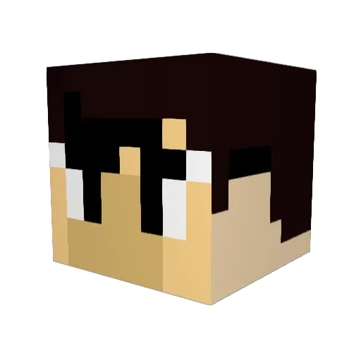 km1219 Minecraft avatar head, 3D render
