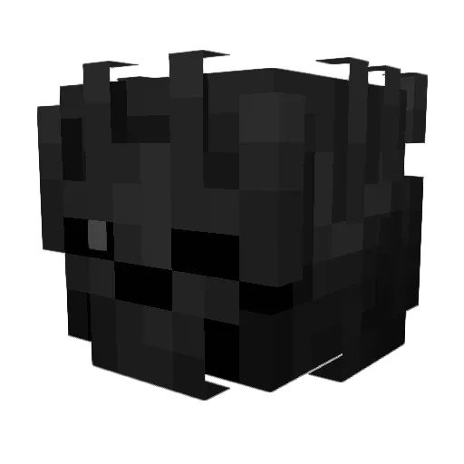 km5pl Minecraft avatar head, 3D render