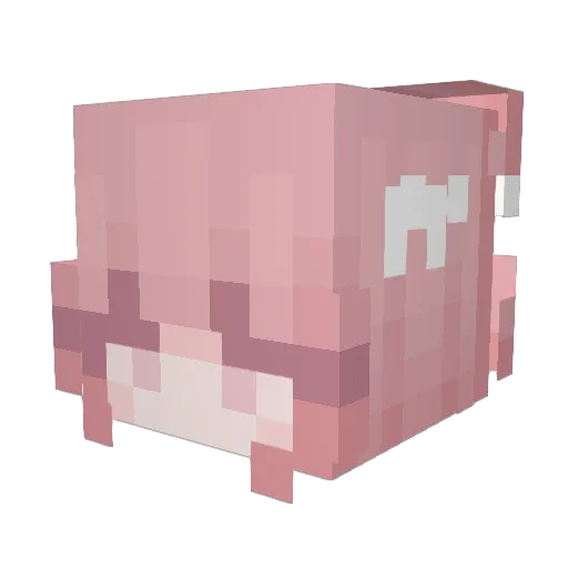 kmander5 Minecraft avatar head, 3D render