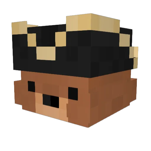 kmbear3 Minecraft avatar head, 3D render