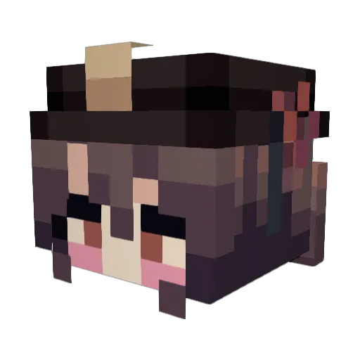 kmcaulifflower Minecraft avatar head, 3D render