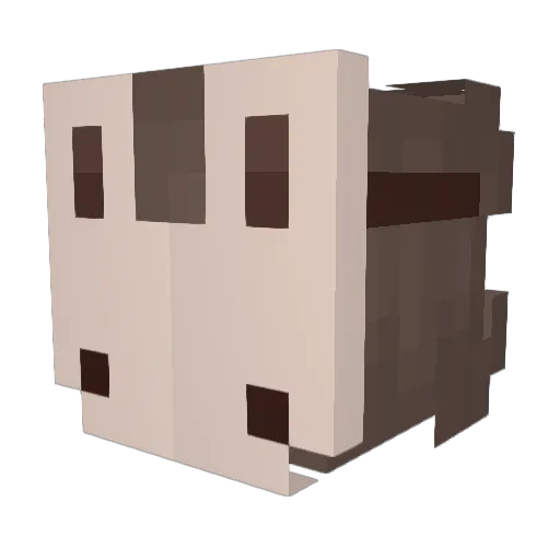 kmiladarling Minecraft avatar head, 3D render