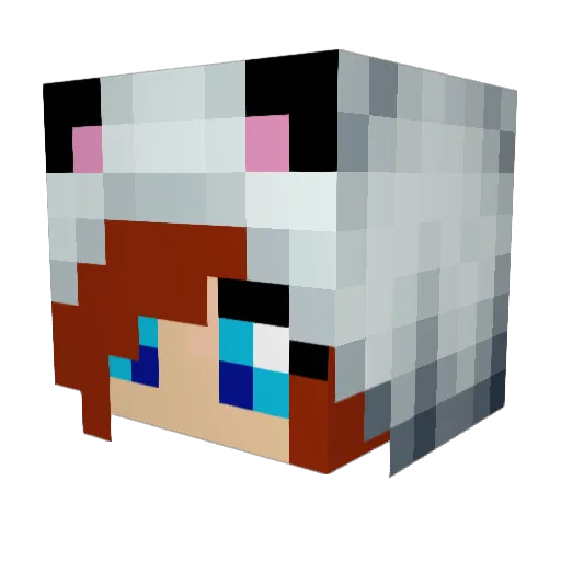 kms9 Minecraft avatar head, 3D render
