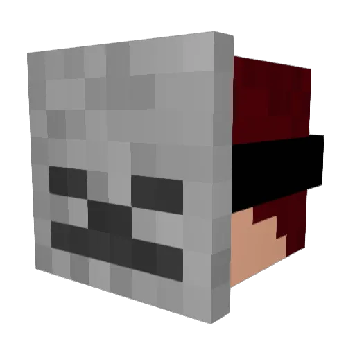 kmy1031 Minecraft avatar head, 3D render