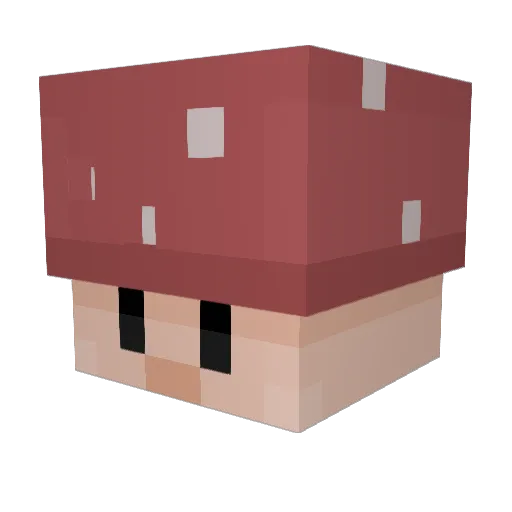kneec0 Minecraft avatar head, 3D render