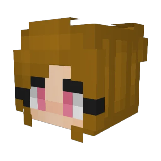 kneecapsss Minecraft avatar head, 3D render