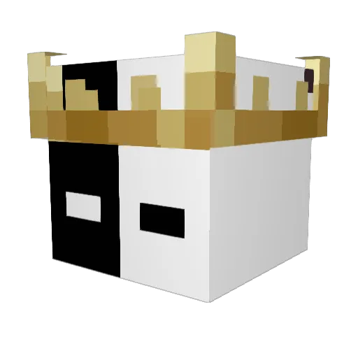 kngi_244 Minecraft avatar head, 3D render
