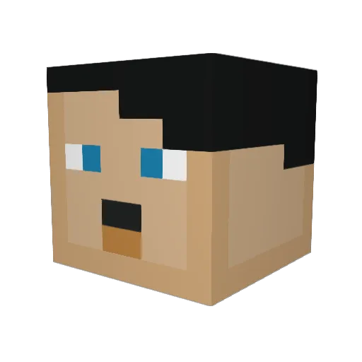 knighthawktuah0 Minecraft avatar head, 3D render