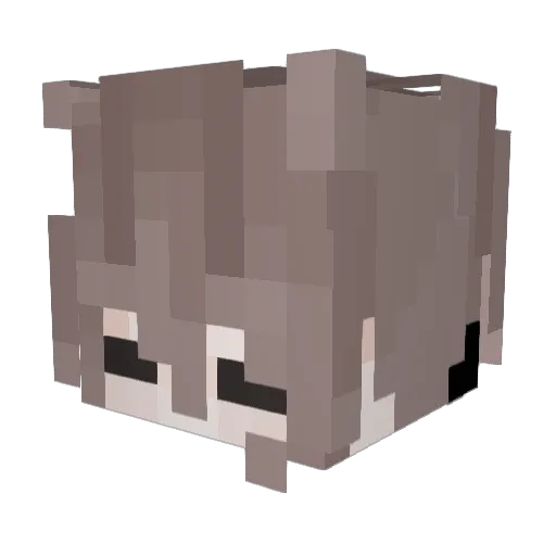 knightly30 Minecraft avatar head, 3D render