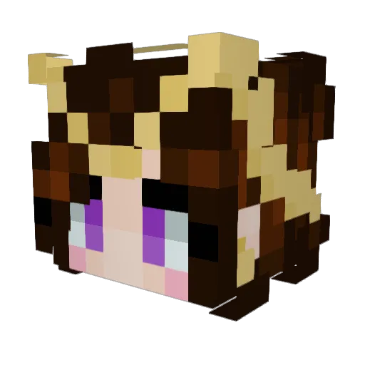 knightofwamp00 Minecraft avatar head, 3D render